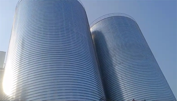 乃东2座混凝土高架卷板仓